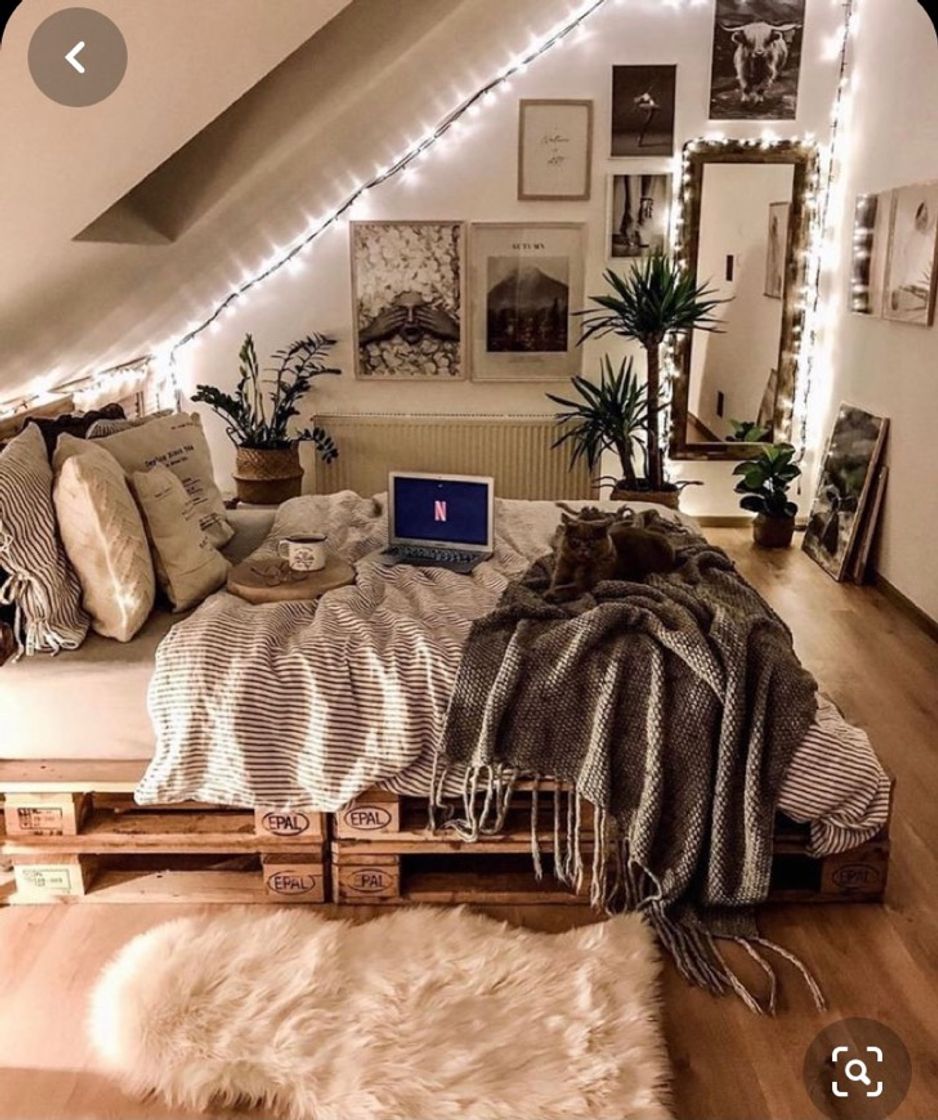 Fashion quarto 