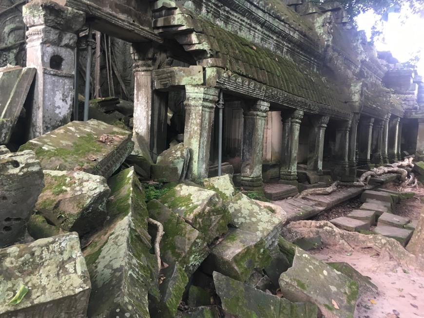 Lugar Ta Prohm Temple