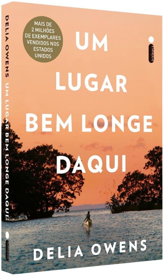 Libro Um Lugar Bem Longe Daqui