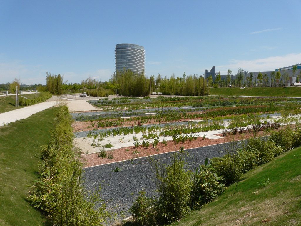 Lugar Parque del Agua Luis Buñuel