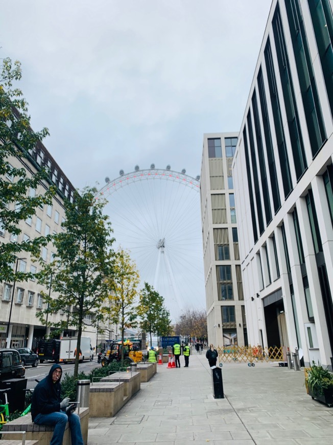 Place London Eye