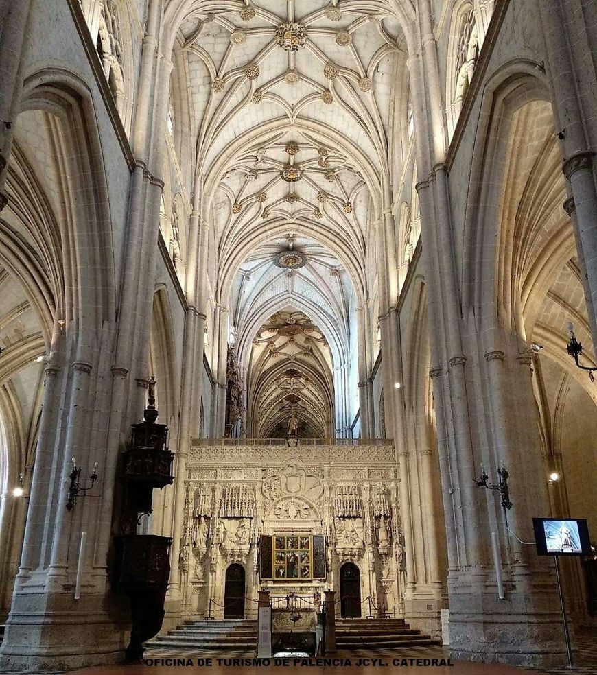 Place Catedral de Palência