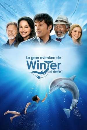 Movie La gran aventura de Winter el delfín