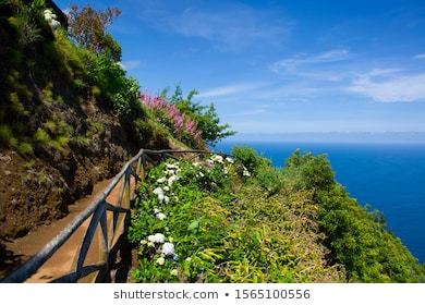 Place Ponta do Sossego Viewpoint and Garden