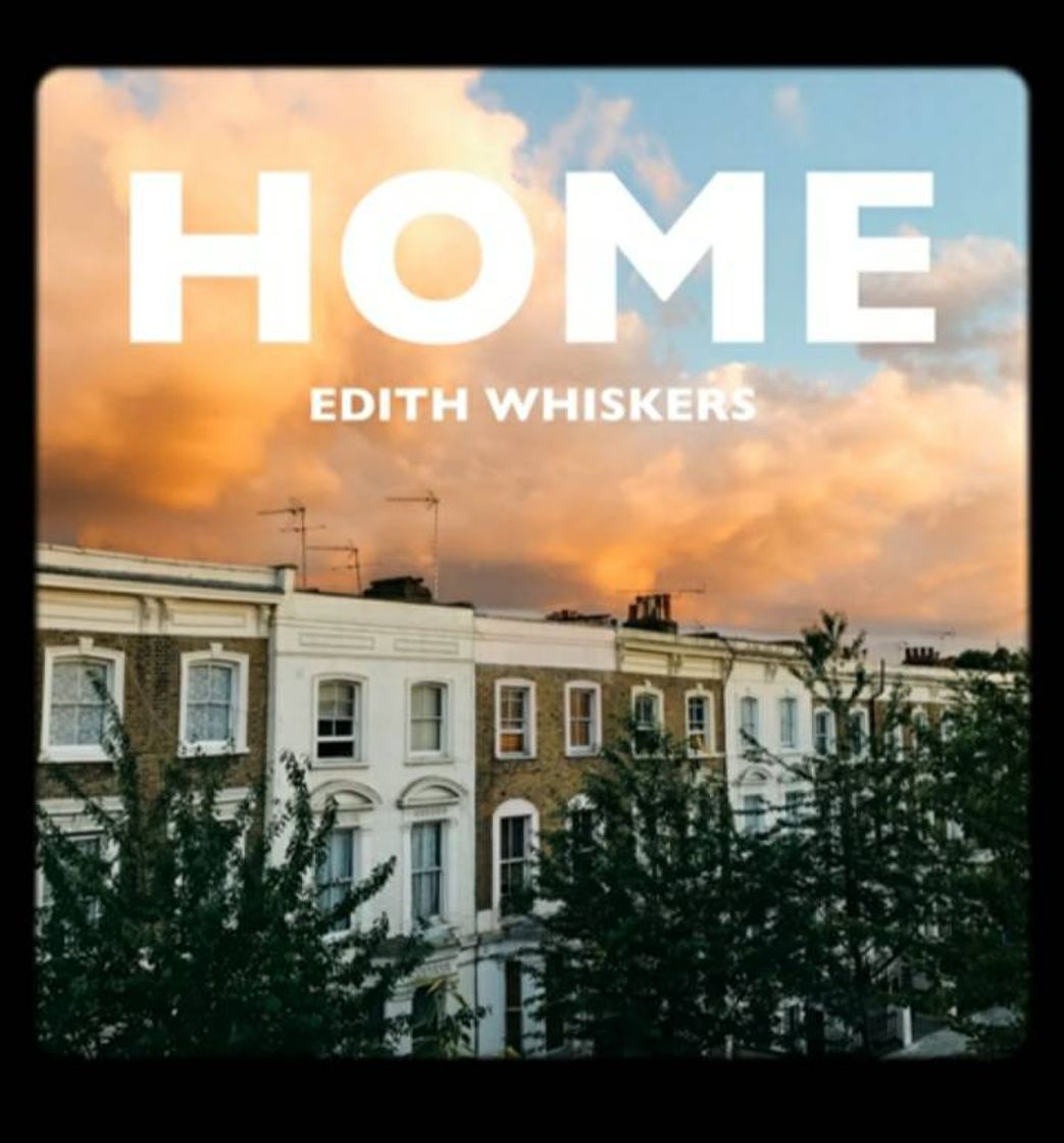 Fashion Home-Edith Whiskers