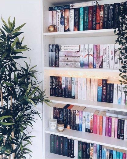 Bookshelf Idea