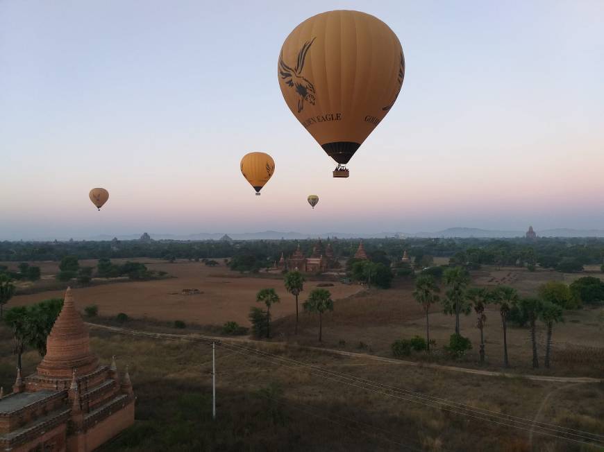 Place Golden Eagle Ballooning Bagan Sales Desk