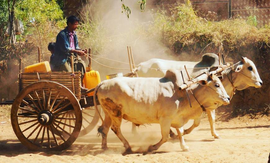 Place Myanmar villages