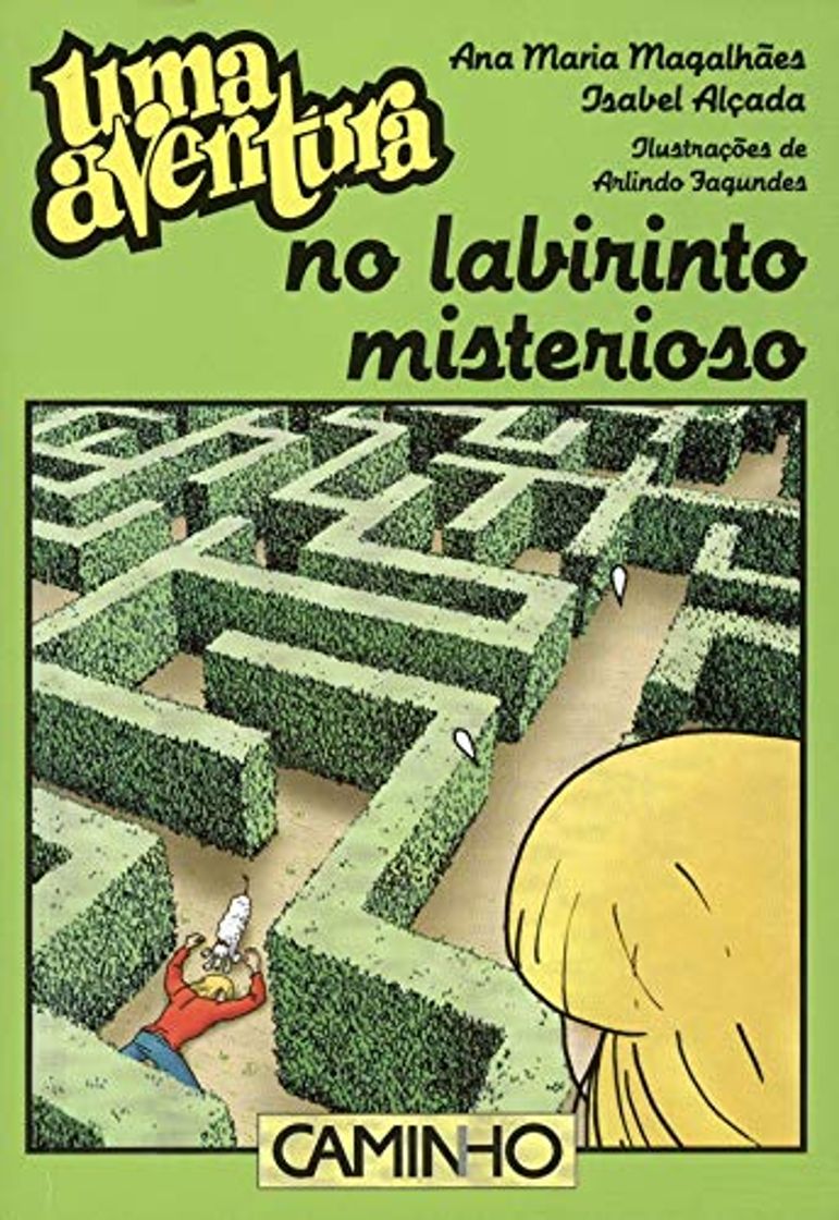 Libro Uma Aventura no Labirinto Misterioso