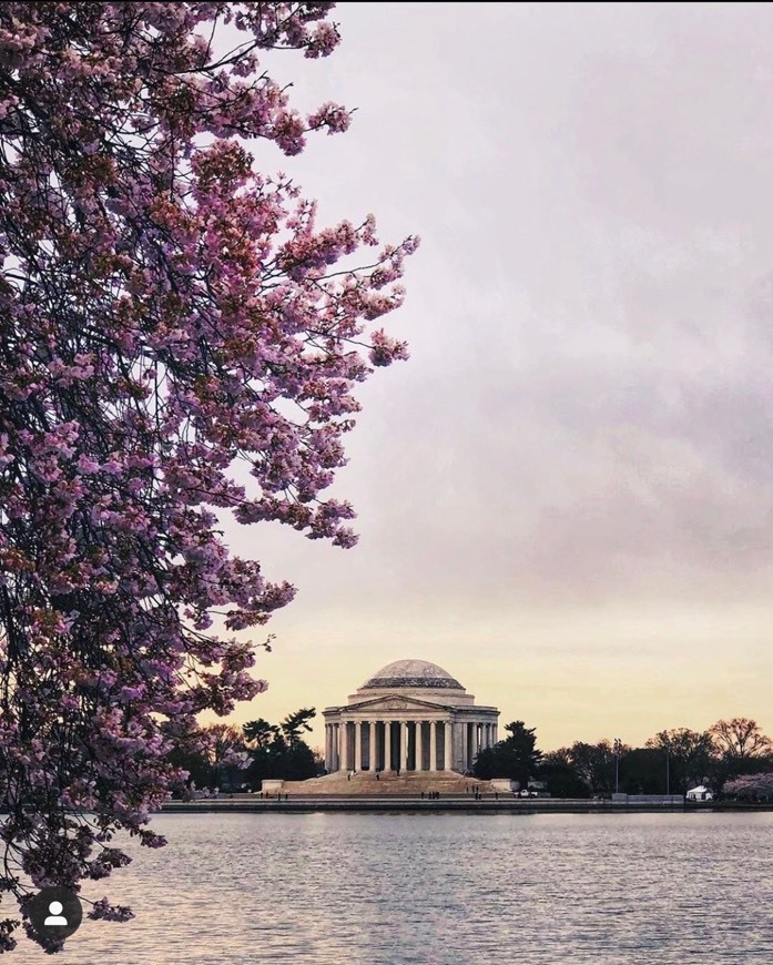 Place Washington D. C.