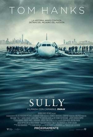 Película Sully