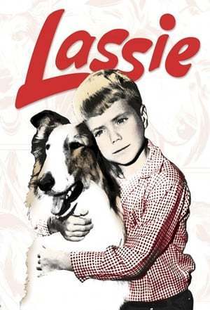 Serie Lassie