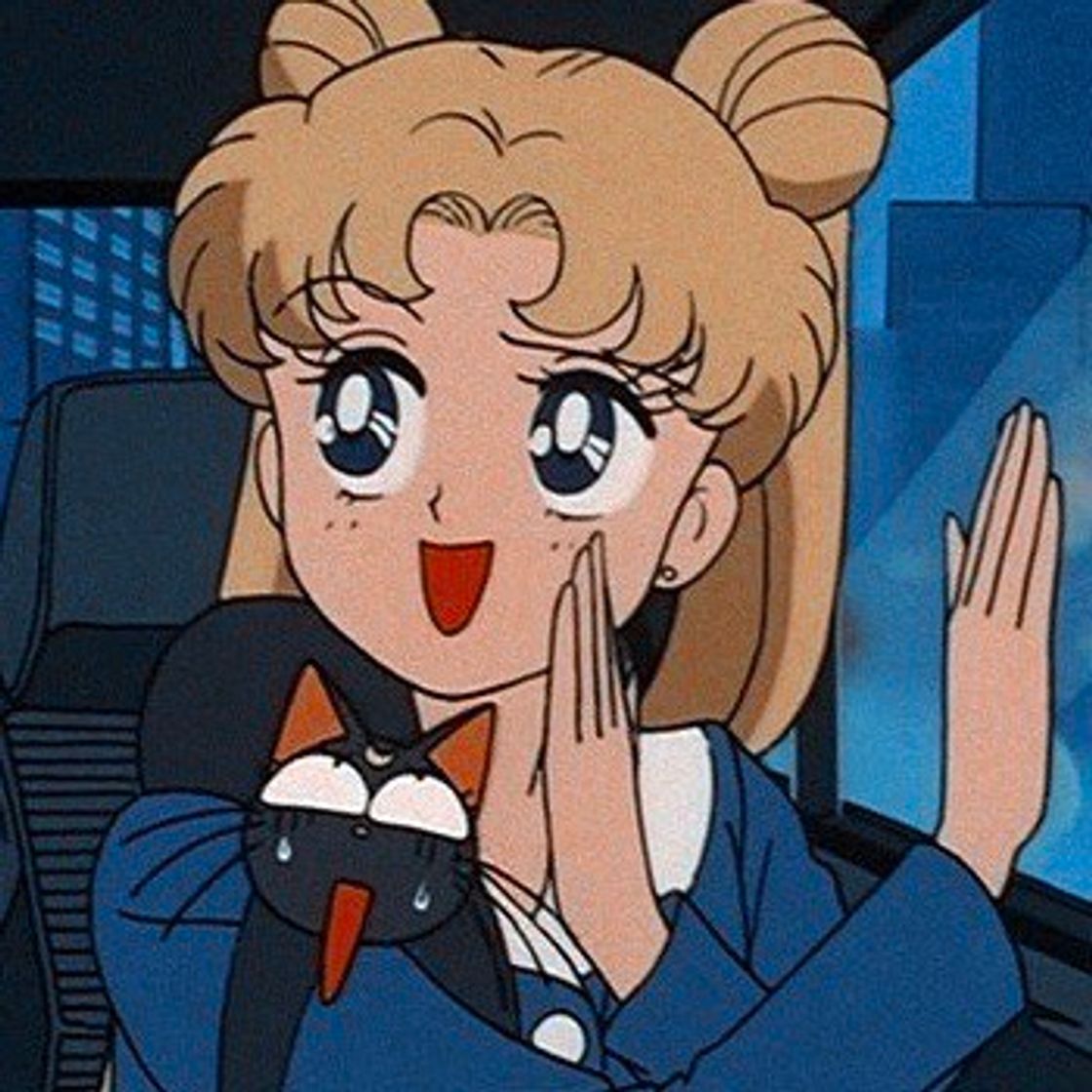 Serie Sailor Moon