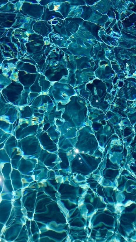 Social Fondo 39