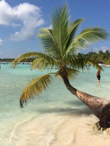 Lugar Isla Saona