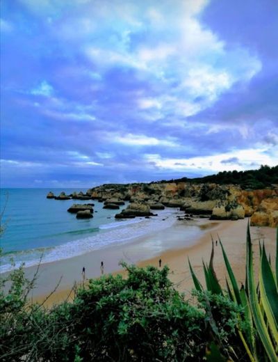 Praia do Alemão