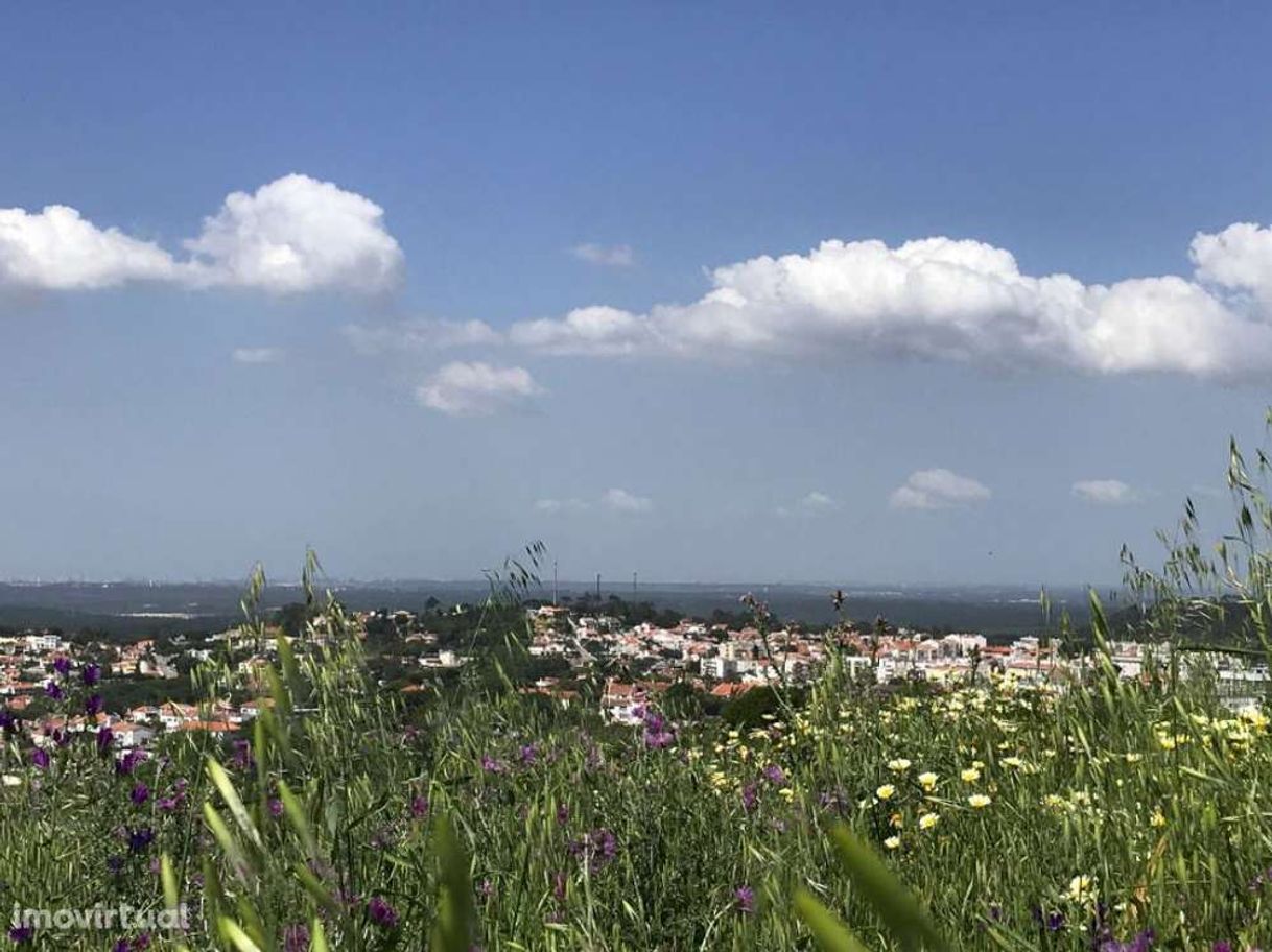 Lugares Aldeia Do Meco-Sociedade Para O Desenvolvimento Turistico, S.A.