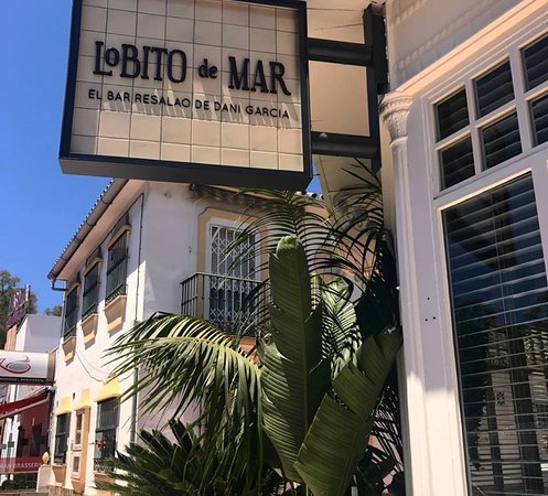 Lobito de Mar