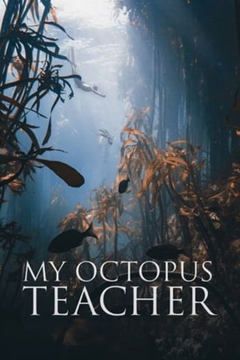 My Octopus Teacher