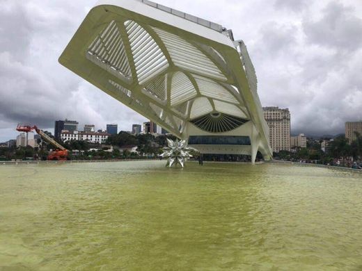 Museo del Mañana