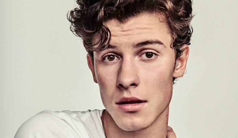 Social ‎Shawn Mendes
