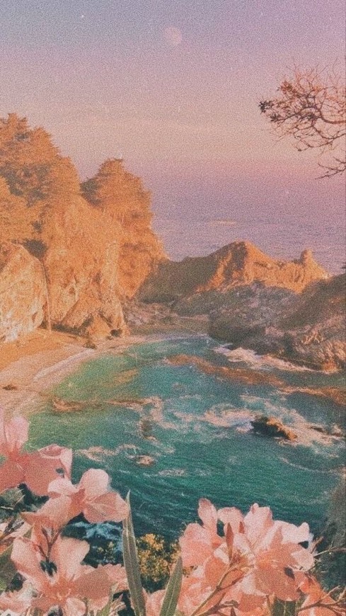 Social Wallpaper 