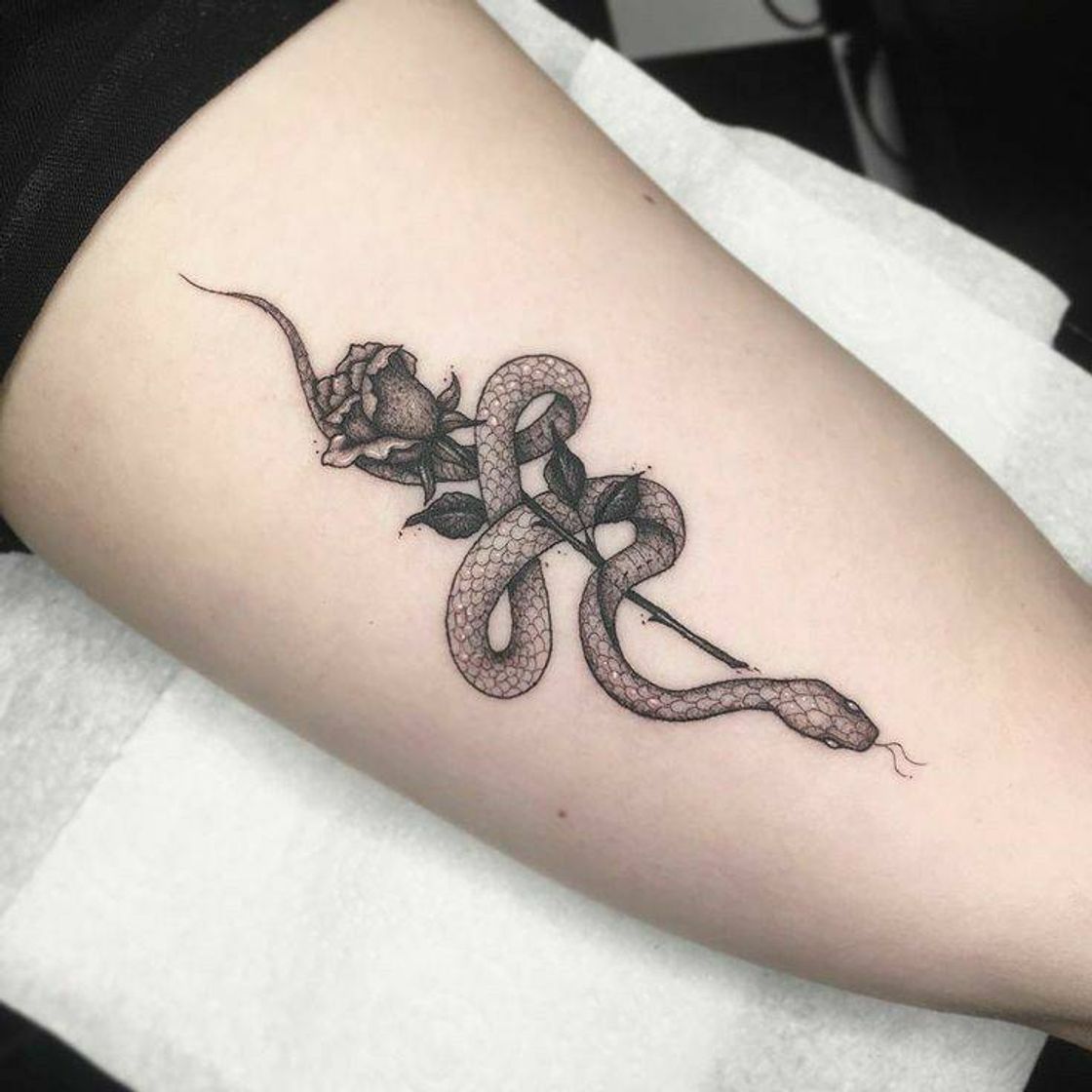 Moda Tatto de cobra com rosa