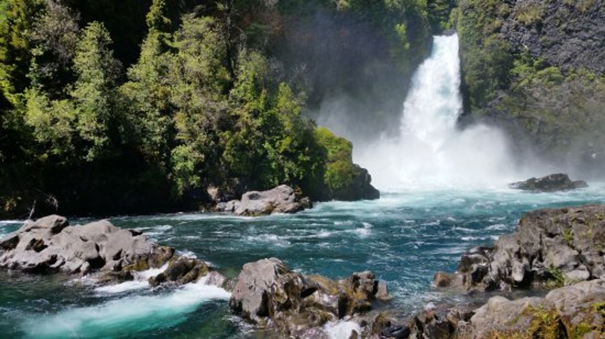 Lugar Reserva Biológica Huilo Huilo