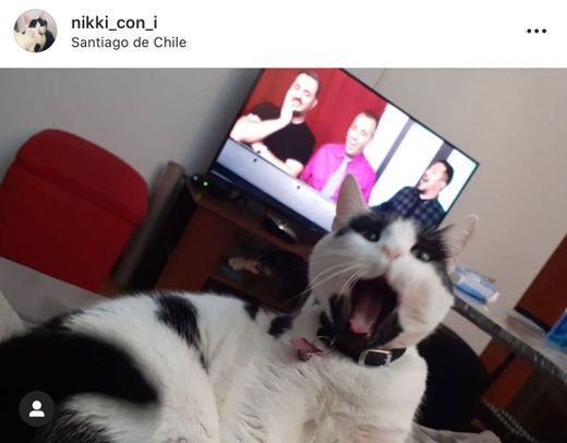 Instagram: nikki_con_i