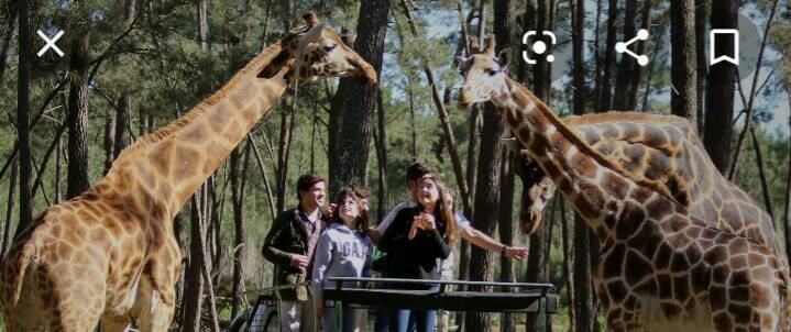 Lugar Badoka Safari Park