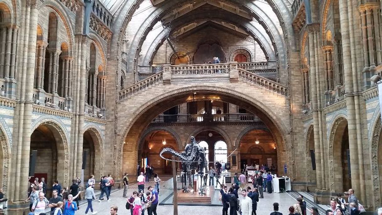 Place Natural History Museum