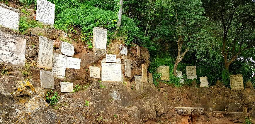 Lugar Penedo da Saudade