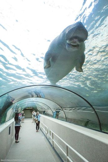 SEA LIFE Sydney Aquarium