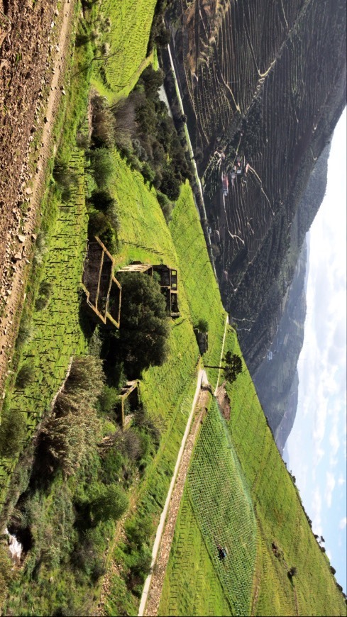 Lugar Quinta dos Murças, Esporão