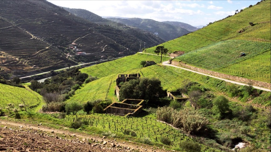 Lugar Quinta dos Murças, Esporão