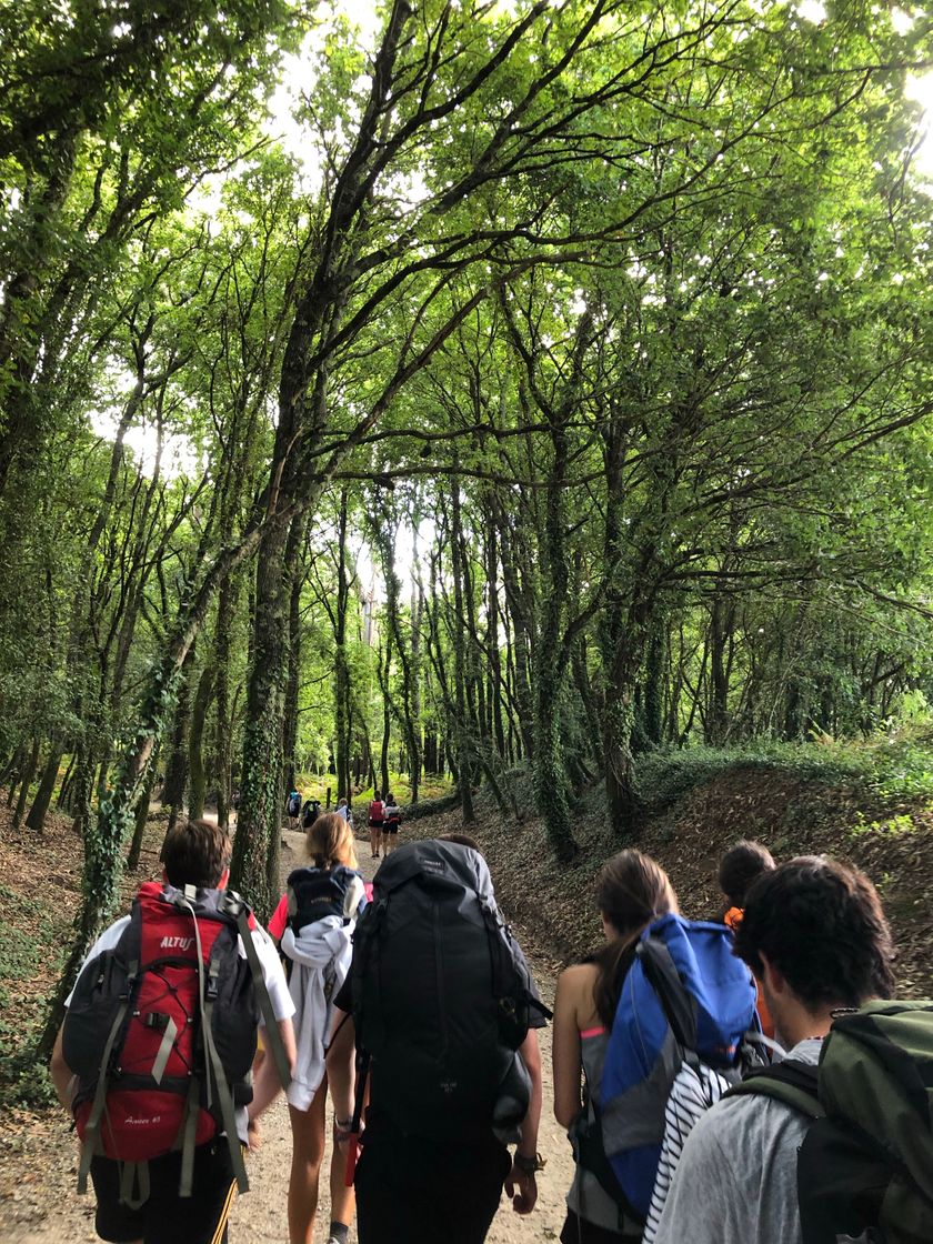 Lugar Camino de Santiago