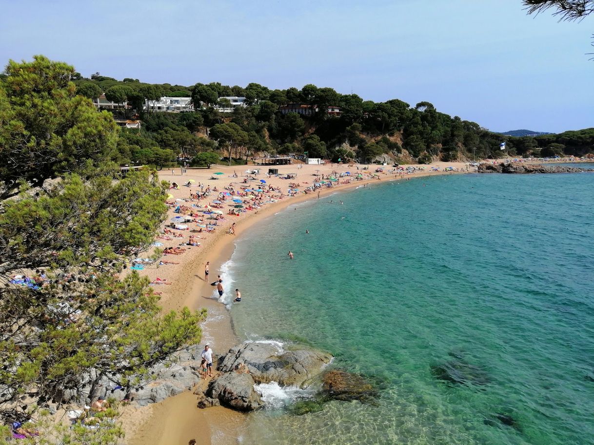 Place Platja Sa Conca