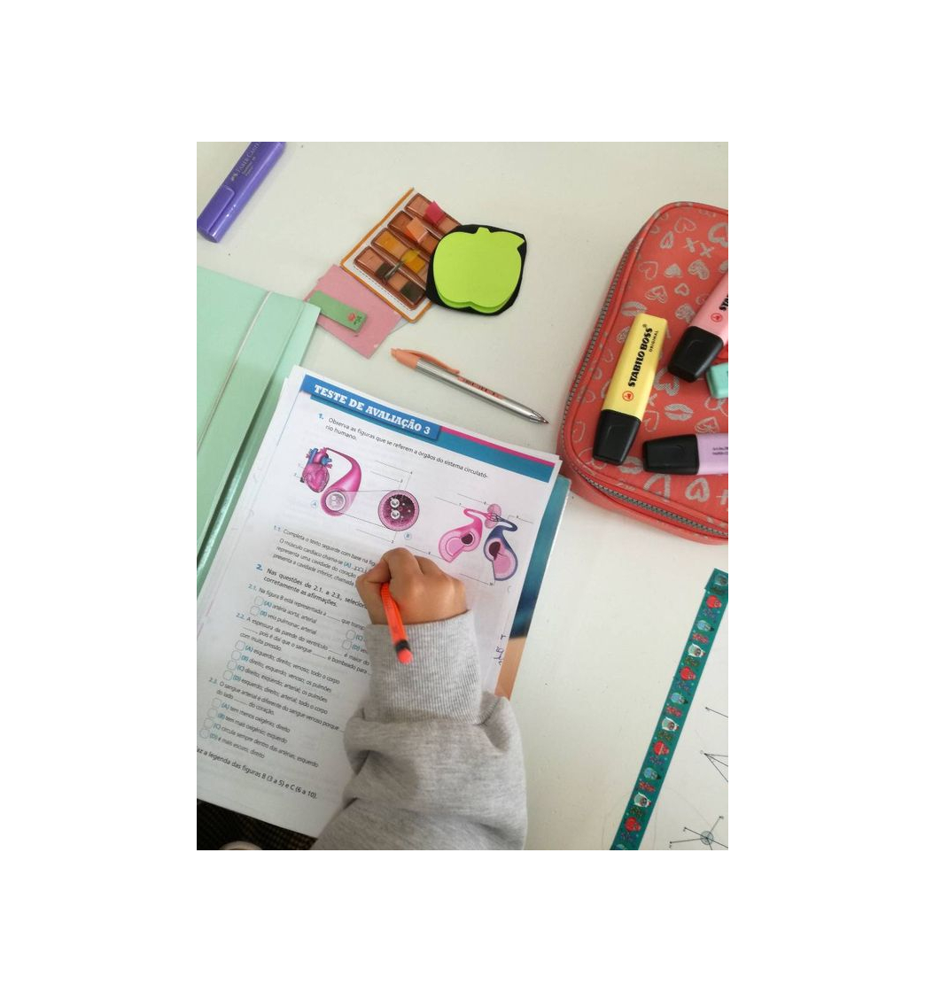 Social Marcadores de cores pastel