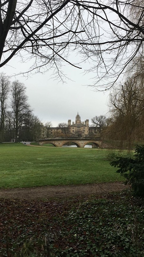 Lugar King's College School, Cambridge