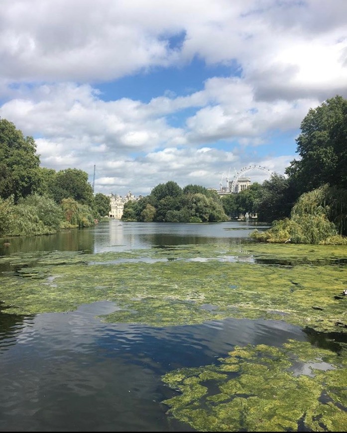 Lugar St James' Park