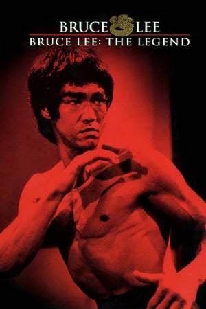 Película La leyenda de Bruce Lee