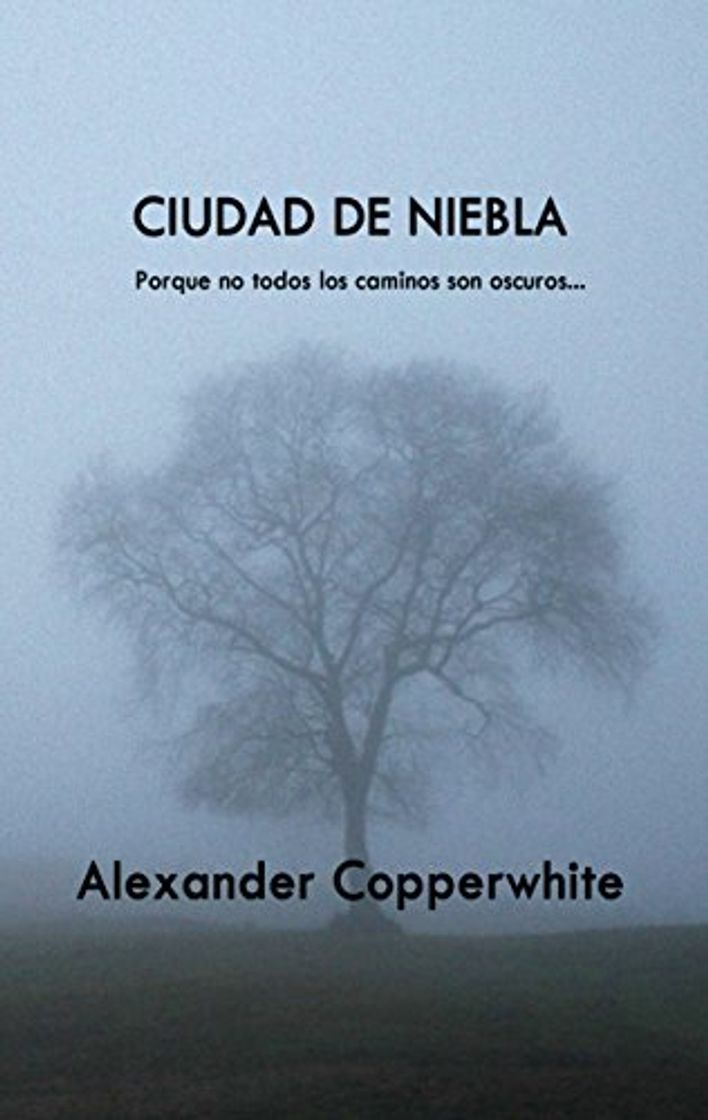 Libro Ciudad de niebla: Un encuentro inesperado