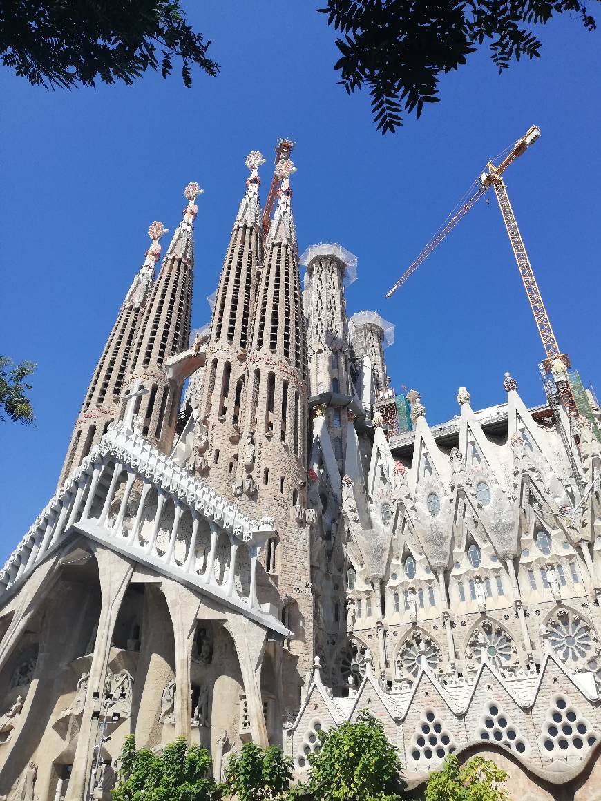 Lugar Sagrada Familia