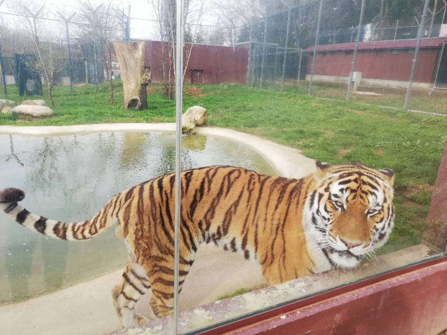 Lugar ZOO Santo Inácio