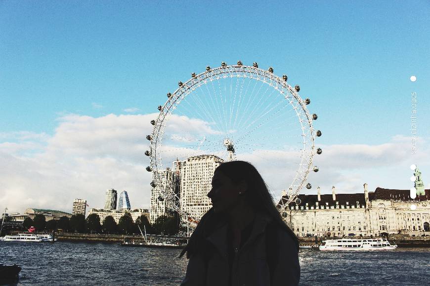 Place London Eye