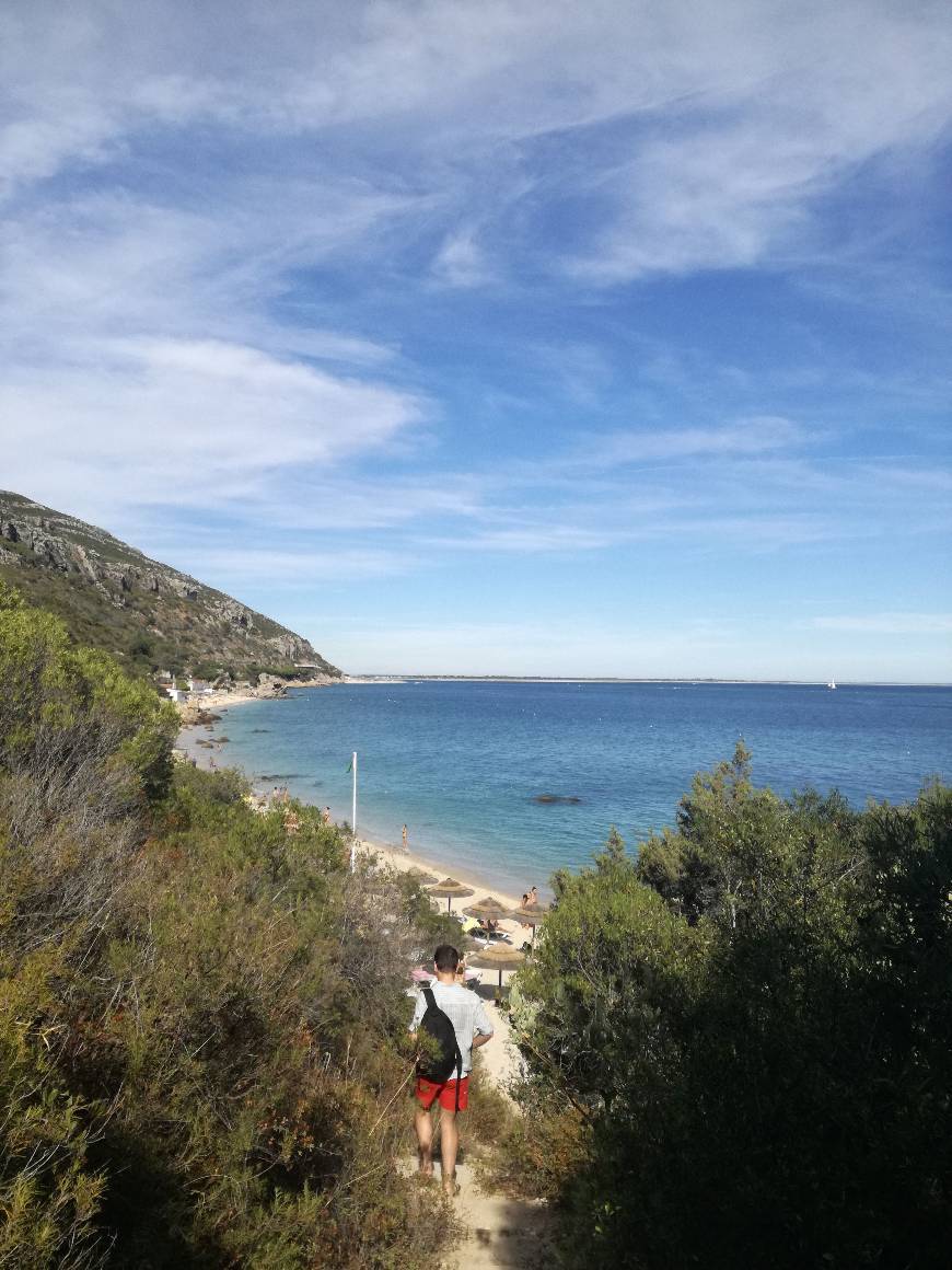 Lugar Praia dos Galapinhos