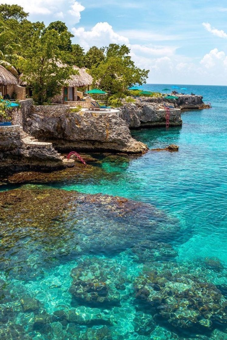 Social Negril, Jamaica ✨