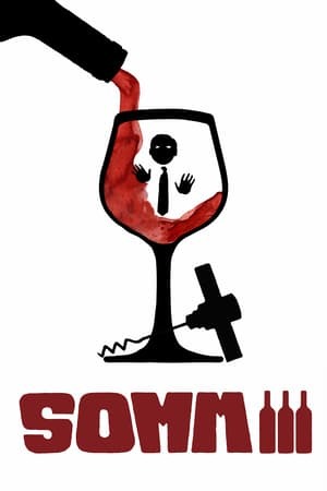 Película Somm III