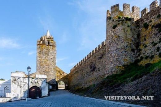 Place Castelo de Montemor-o-Novo