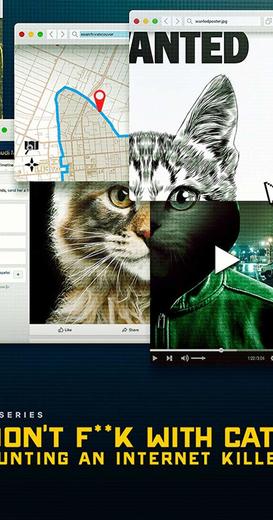 Don't F**k with Cats: Hunting an Internet Killer